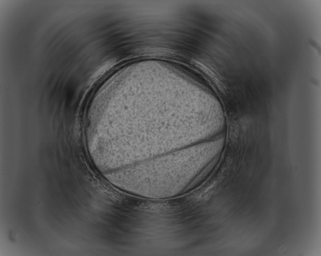 X0000092301074200710051216