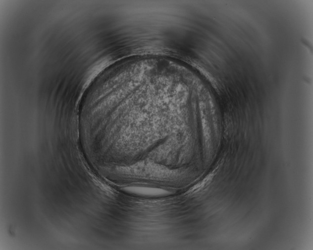 X0000092301075200710051216