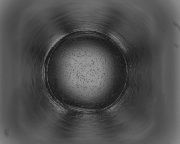 X0000092301076200710051216