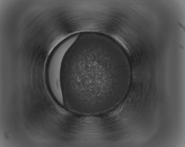 X0000092301077200710051216