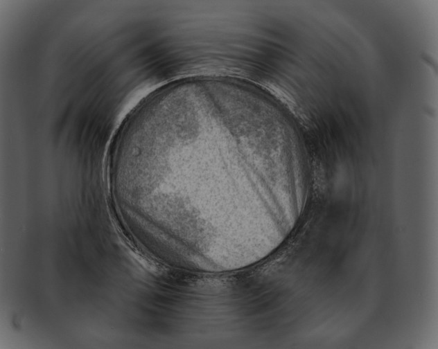 X0000092301078200710051216