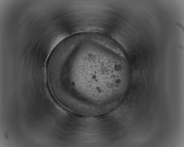 X0000092301079200710051216