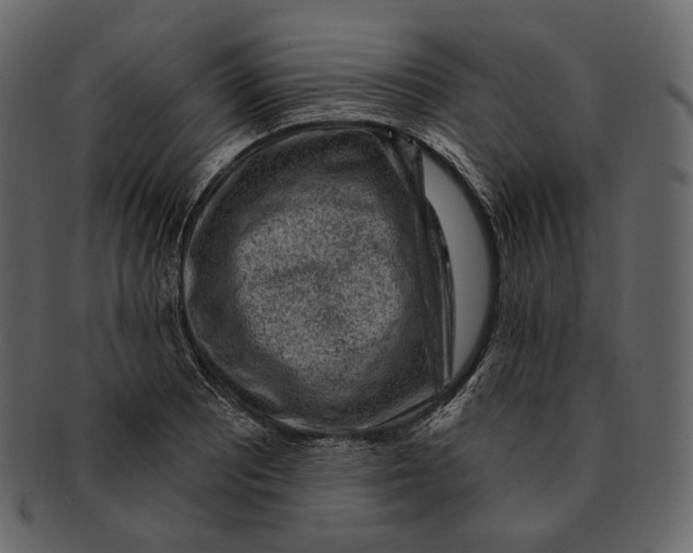 X0000092301081200710051216