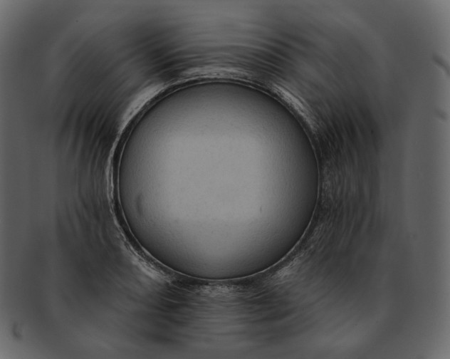 X0000092301082200710051216