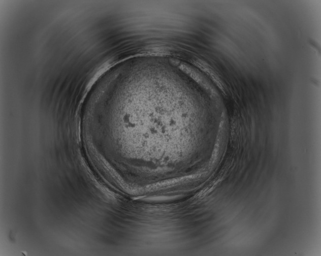 X0000092301083200710051216