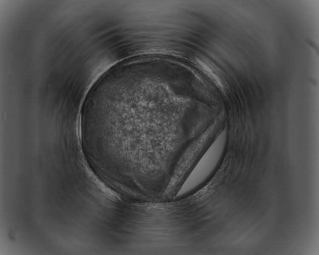 X0000092301084200710051216