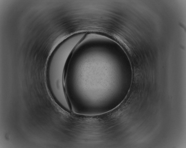 X0000092301085200710051216