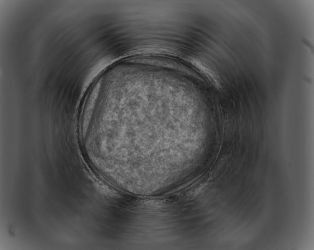 X0000092301086200710051216