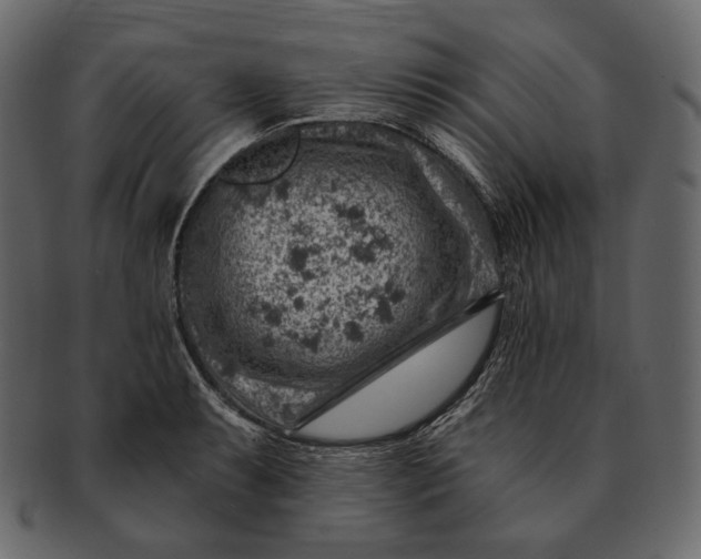 X0000092301087200710051216