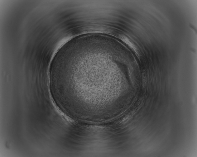 X0000092301088200710051216