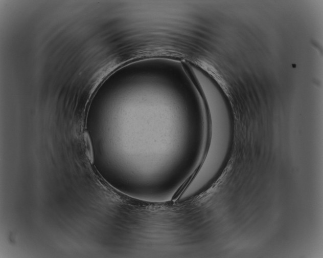 X0000092301089200710051216