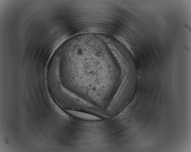 X0000092301091200710051216