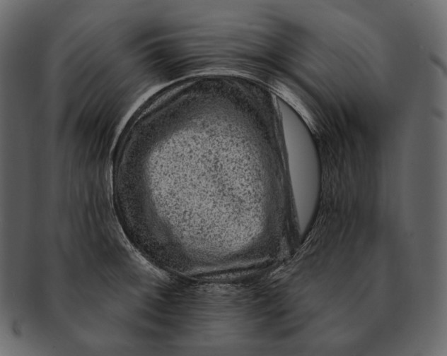 X0000092301092200710051216