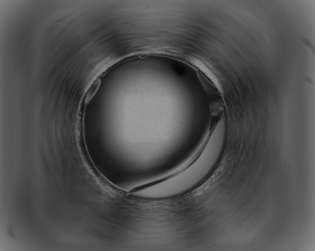 X0000092301093200710051216