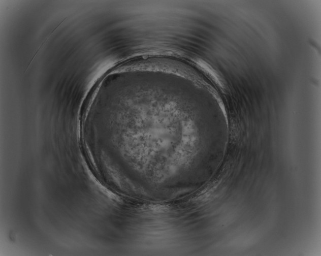 X0000092301095200710051216