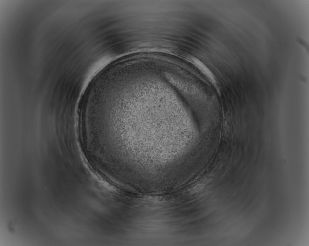 X0000092301096200710051216