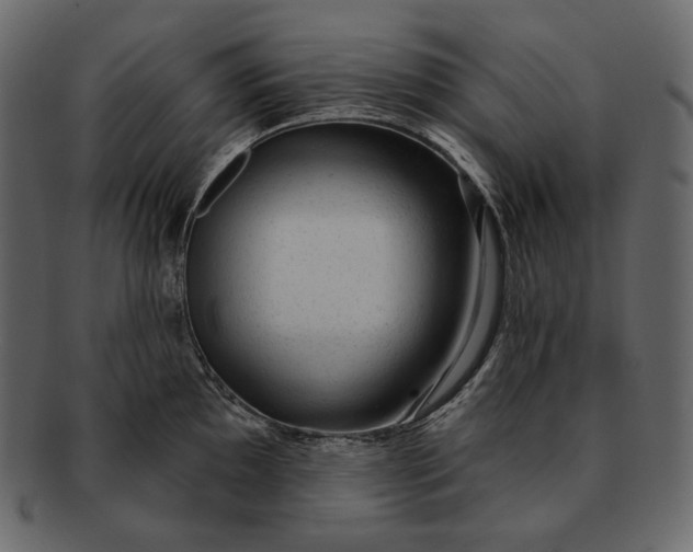 X0000092301097200710051216