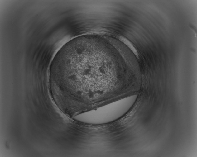 X0000092301099200710051216