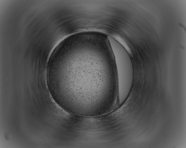 X0000092301100200710051216