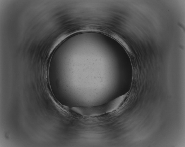 X0000092301101200710051216