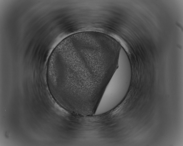 X0000092301102200710051216