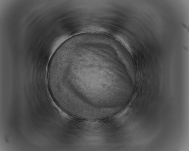 X0000092301103200710051216