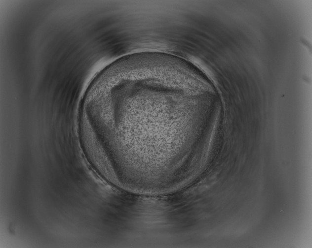 X0000092301104200710051216