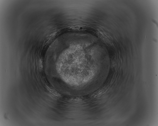 X0000092301106200710051215