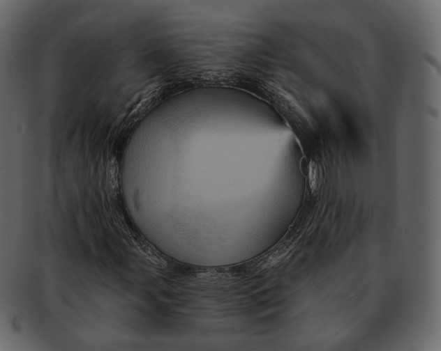 X0000092301107200710051215