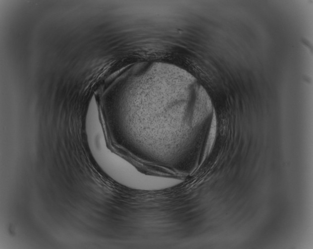 X0000092301108200710051215