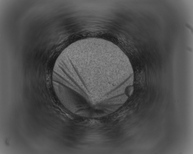 X0000092301109200710051215