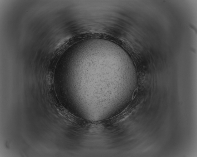 X0000092301110200710051215