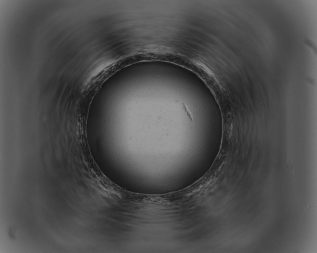 X0000092301112200710051215