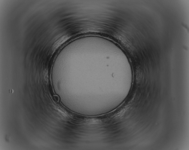 X0000092301113200710051215