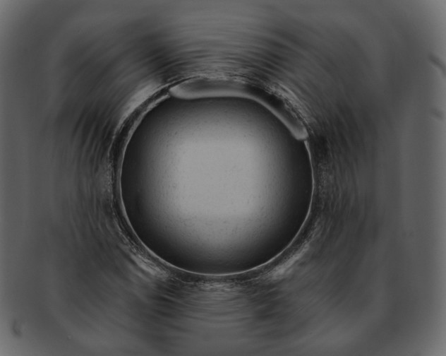 X0000092301114200710051215