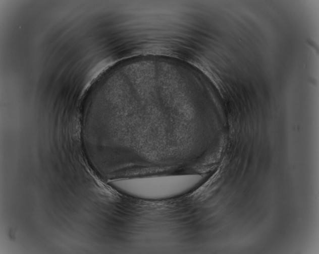 X0000092301115200710051215