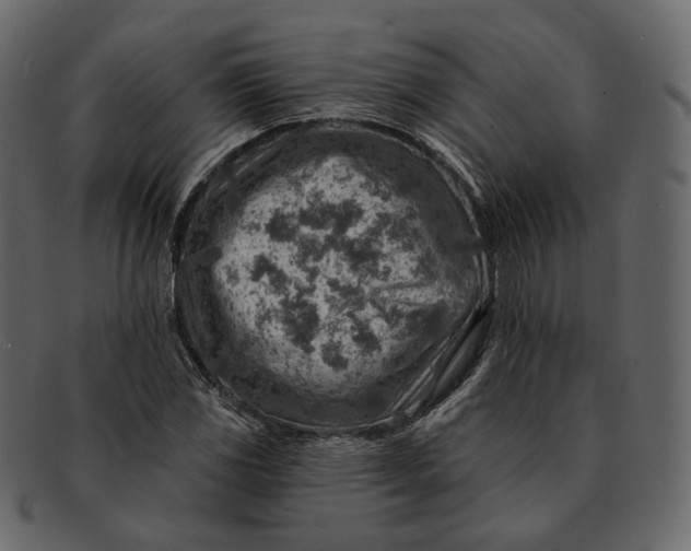 X0000092301117200710051215