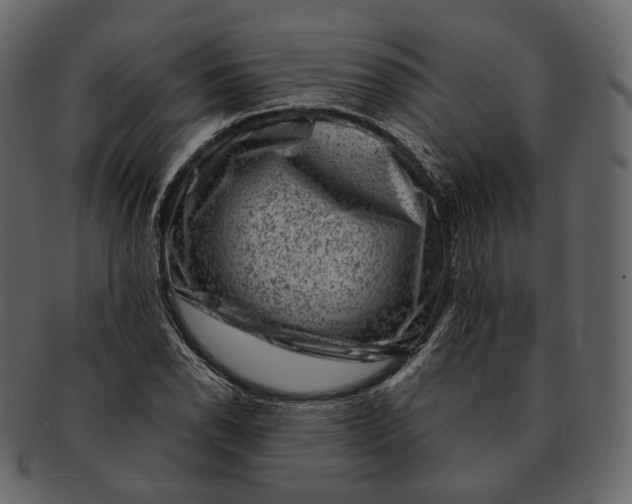 X0000092301118200710051215