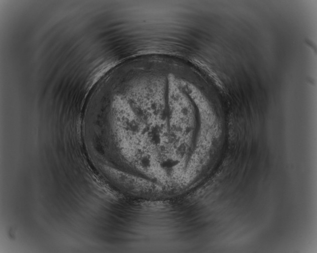 X0000092301121200710051215