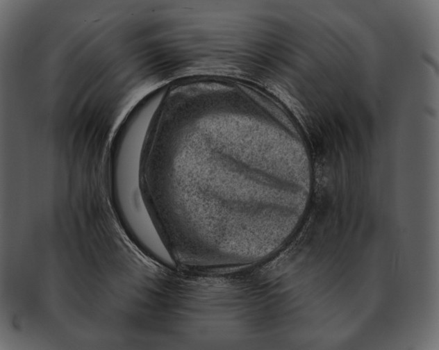 X0000092301123200710051215