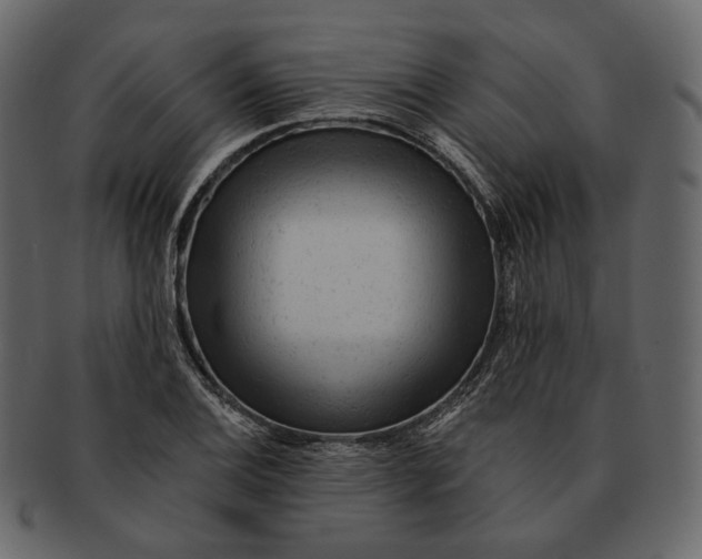 X0000092301124200710051215