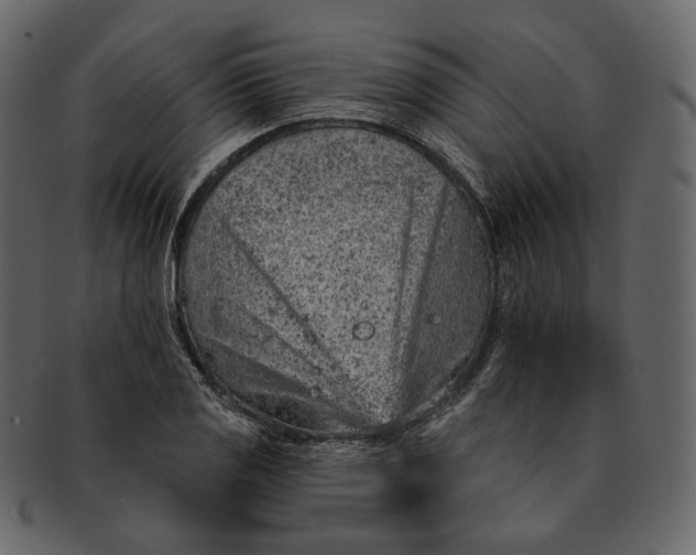 X0000092301125200710051215