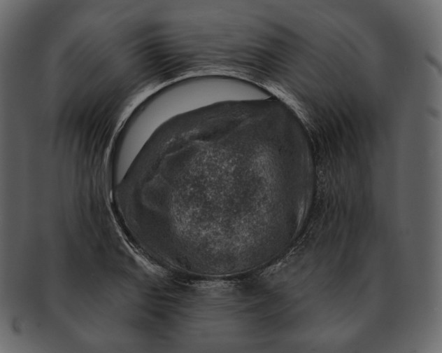 X0000092301127200710051215