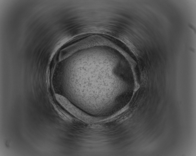 X0000092301128200710051215