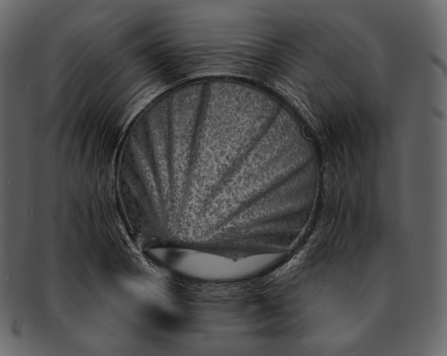 X0000092301129200710051215