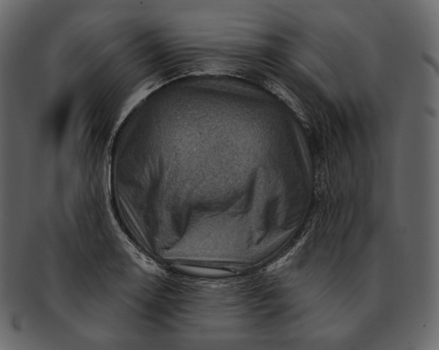 X0000092301130200710051215