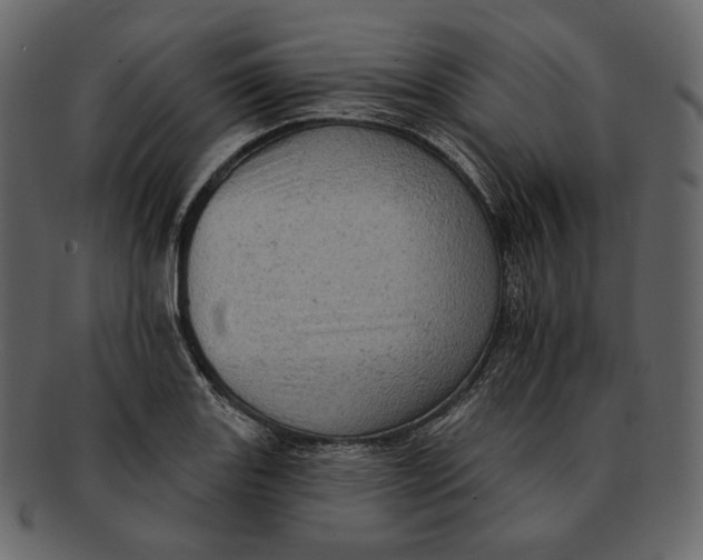 X0000092301131200710051215