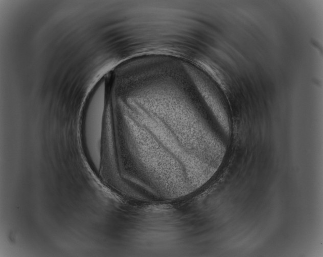 X0000092301133200710051215