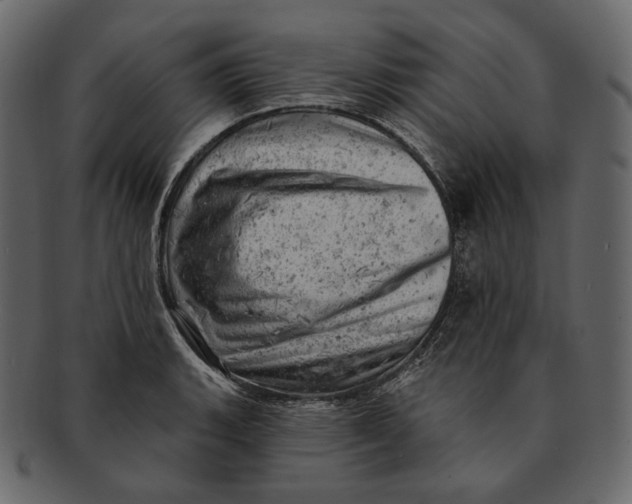 X0000092301135200710051215