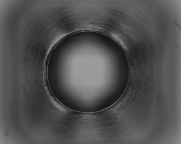 X0000092301136200710051215